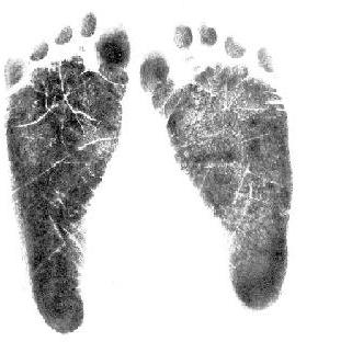 20070307223658-soles.jpg